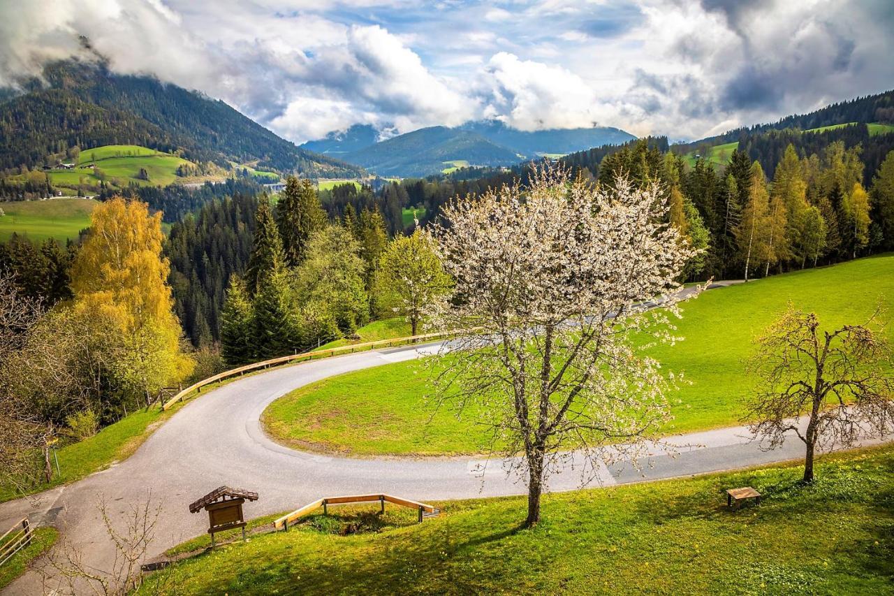 Vordersattlegghofhuette Villa Hüttau Exteriör bild