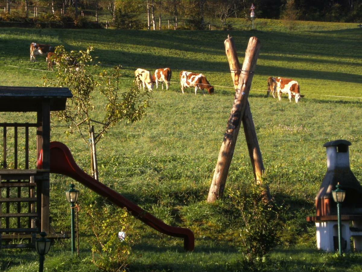 Vordersattlegghofhuette Villa Hüttau Exteriör bild