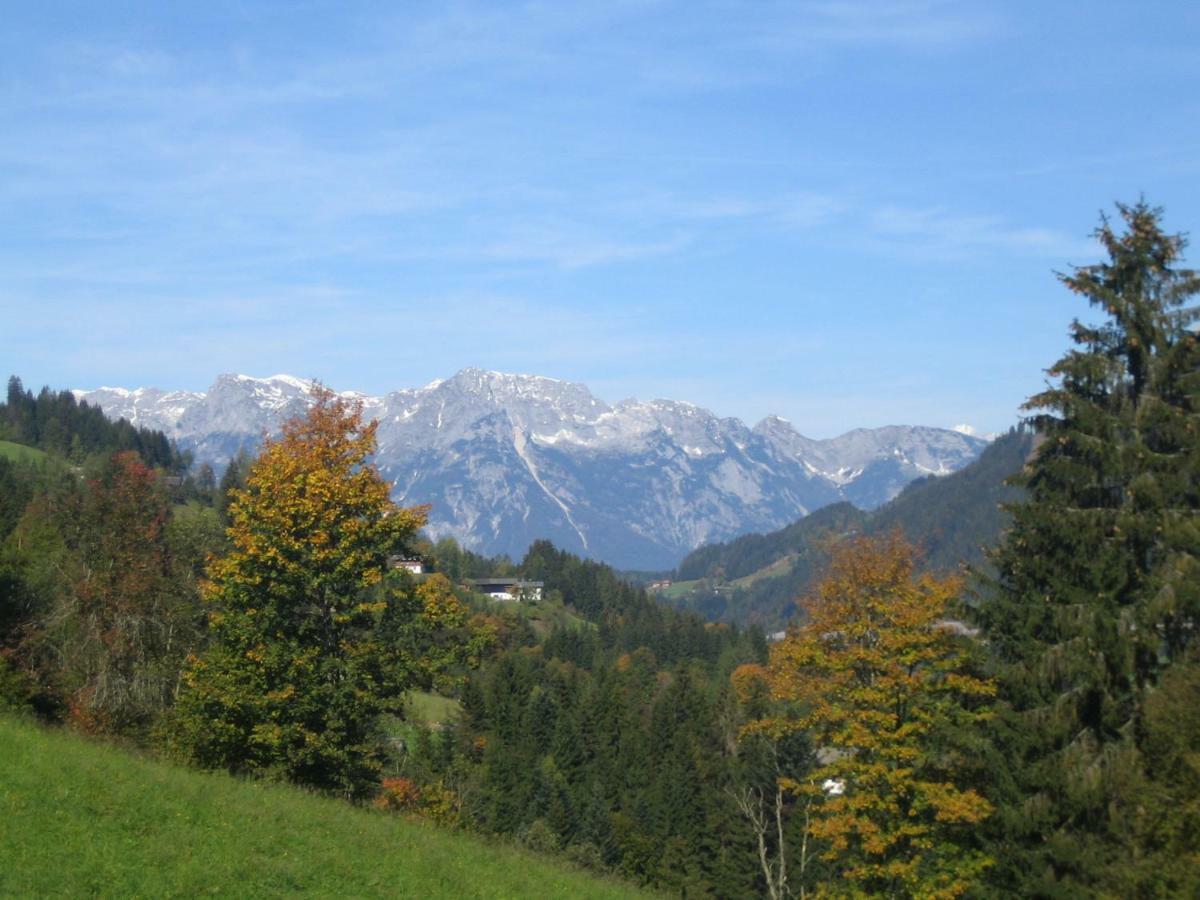 Vordersattlegghofhuette Villa Hüttau Exteriör bild
